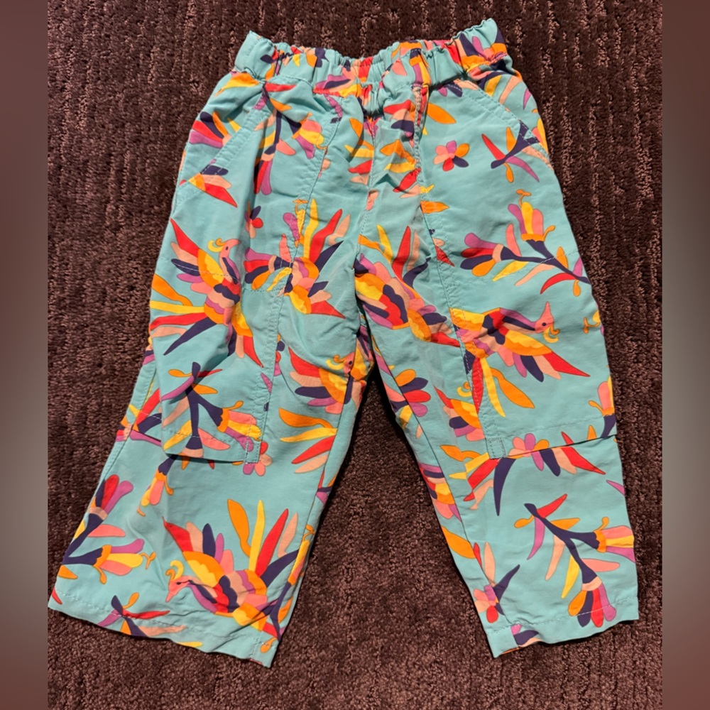 Patagonia Baggies Pants